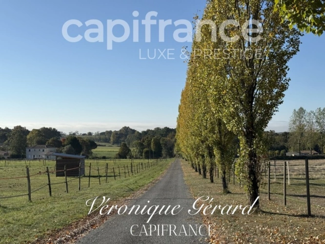 Photos 23 - Équestre - Propriété Equestre sur plus de 4 hectares avec habitation de 137 M²