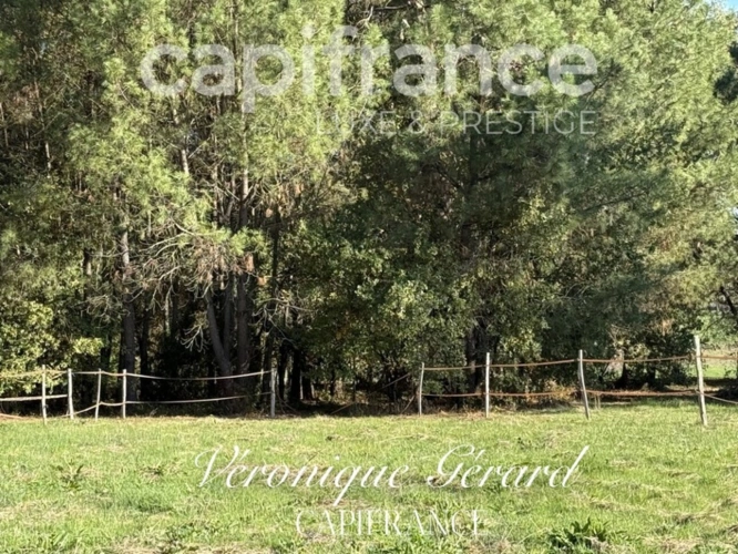 Photos 26 - Équestre - Propriété Equestre sur plus de 4 hectares avec habitation de 137 M²