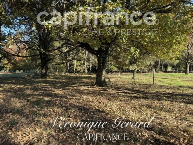 Photos 34 - Équestre - Propriété Equestre sur plus de 4 hectares avec habitation de 137 M²