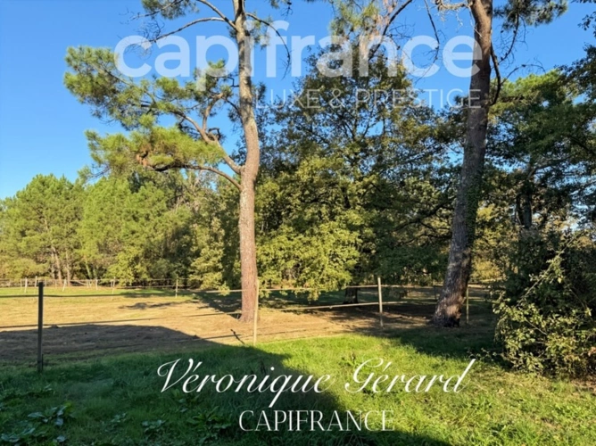 Photos 36 - Équestre - Propriété Equestre sur plus de 4 hectares avec habitation de 137 M²