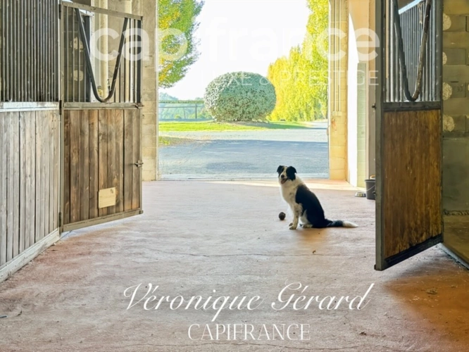 Photos 42 - Équestre - Propriété Equestre sur plus de 4 hectares avec habitation de 137 M²