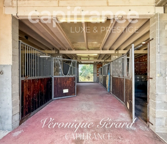 Photos 43 - Équestre - Propriété Equestre sur plus de 4 hectares avec habitation de 137 M²