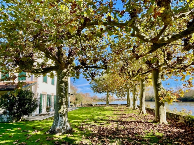 Photos 2 - Prestige - Propriete - 10 pièces - SAINT MARTIN DE SEIGNANX (40)