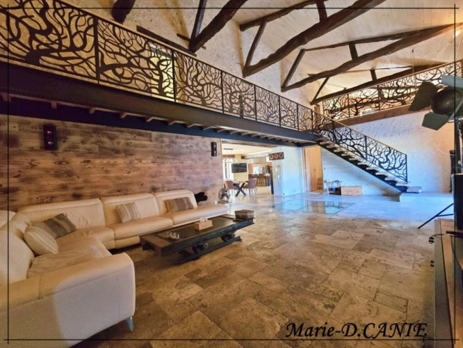 Photos 6 - Touristique - Domaine de prestige avec maison, gîte et dépendances, dans le Nord du Gers, à La Romieu, aux portes des Landes et du Lot-et-Garonne