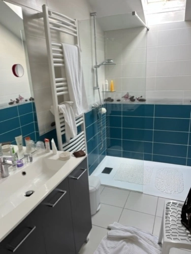 Photos 80 - Prestige - TARBES 40minutes, Beau CHATEAU dominant sur 8ha ideal acueil public, EVENEMENTIEL, résidence séniors, communauté, habitat partagé