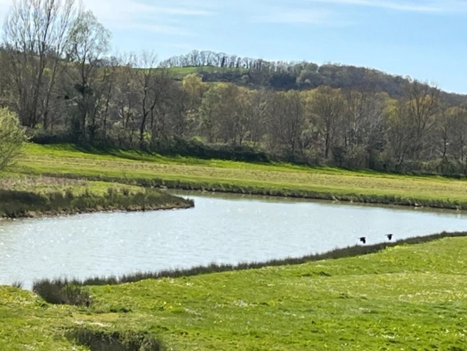 Photos 21 - Prestige - Elégant CHATEAU XIXs sur 70 ha, VUE PANORAMIQUE PYRÉNÉES, au bout d 'une allée,  Toulouse-Blagnac 1h30