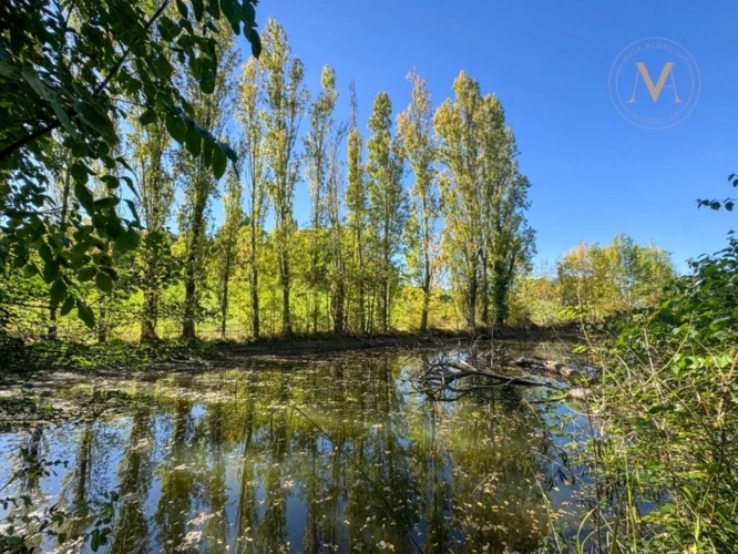 Photos 1 - Équestre - À vendre, belle propriété équestre avec maison en pierre, grange aménageable et lac privatif, sur 2,5 hectares de terrain, à deux pas de Courbiac