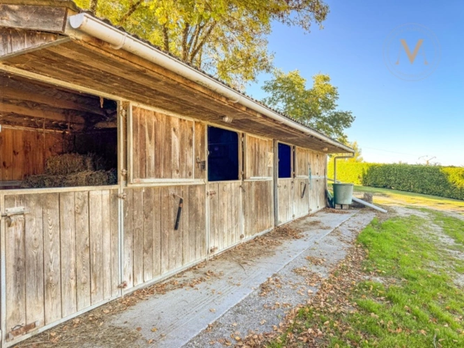 Photos 3 - Équestre - À vendre, belle propriété équestre avec maison en pierre, grange aménageable et lac privatif, sur 2,5 hectares de terrain, à deux pas de Courbiac