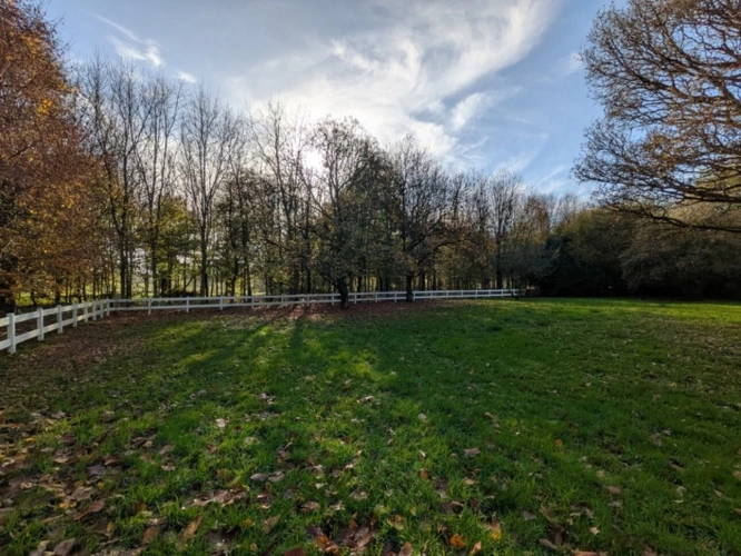 Photos 5 - Prestige - LOCMALO PROPRIÉTÉ DE 180M² ENVIRON EN CAMPAGNE AU CALME ENSEMBLE DE 2 MAISONS AVEC DOUBLE GARAGE PRÉAU ET DÉPENDANCE PUITS JARDIN ET BOIS DE 1 HECTARE 56