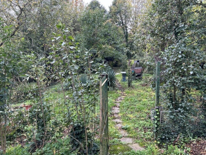 Photos 10 - Prestige - Maison