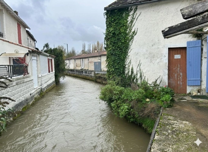 Photos 11 - Prestige - Maison