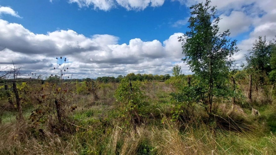 Photos 8 - Touristique - Maison à rénover