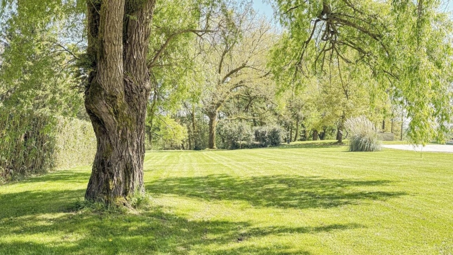 Photos 17 - Prestige - Propriété