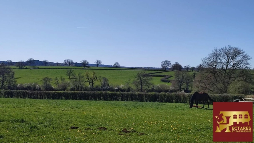 Photos 11 - Équestre - Propriété équestre 54 hectares!