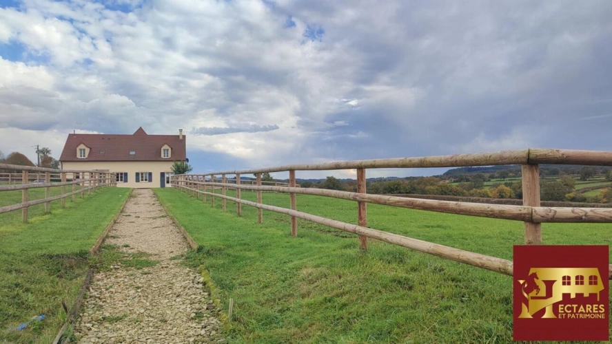 Photos 12 - Équestre - Propriété équestre 54 hectares!