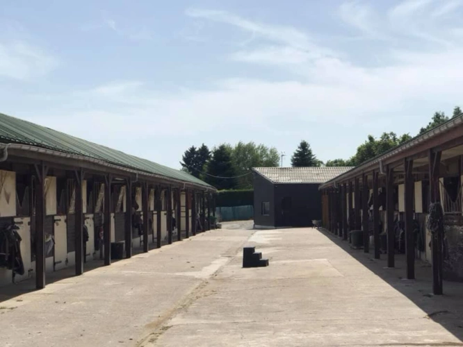 Photos 9 - Équestre - Domaine équestre à 25 kms de PARIS