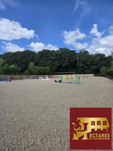 Photos 13 - Équestre - Domaine équestre à 25 kms de PARIS