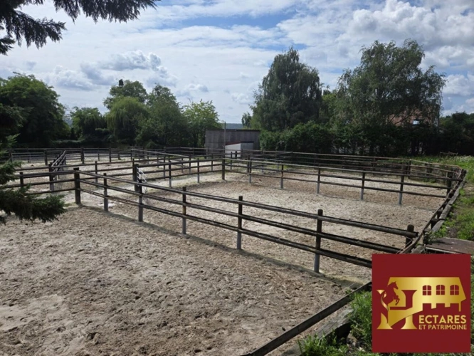 Photos 15 - Équestre - Domaine équestre à 25 kms de PARIS