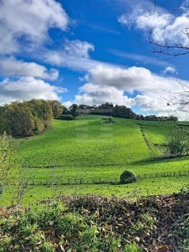 Photos 5 - Prestige - Propriété agricole