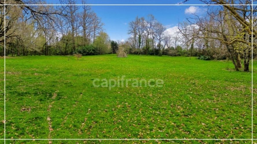 Photos 8 - Prestige - Dpt (32) NOGARO proche, ELEGANTE MAISON DE NOTABLES, économique, du XIXs 600M2, parc séculaire, dépendances en U, 11 ha, sans travaux