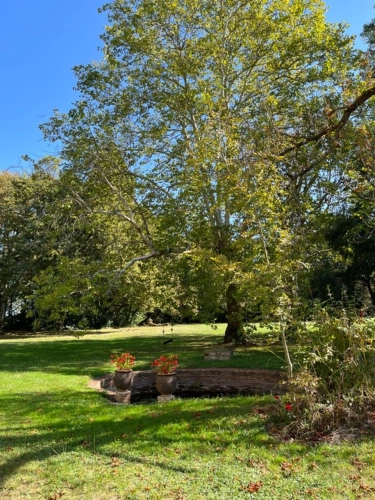 Photos 23 - Prestige - Dpt (32) NOGARO proche, ELEGANTE MAISON DE NOTABLES, économique, du XIXs 600M2, parc séculaire, dépendances en U, 11 ha, sans travaux