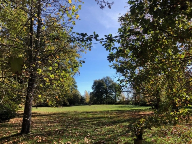 Photos 57 - Prestige - Dpt (32) NOGARO proche, ELEGANTE MAISON DE NOTABLES, économique, du XIXs 600M2, parc séculaire, dépendances en U, 11 ha, sans travaux