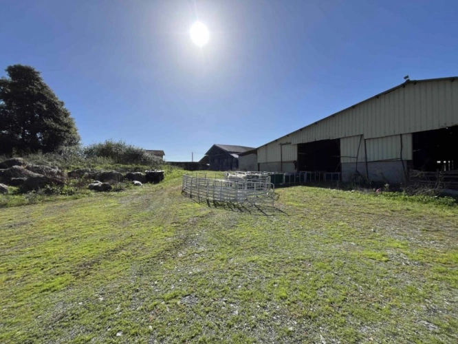 Photos 17 - Prestige - Maison