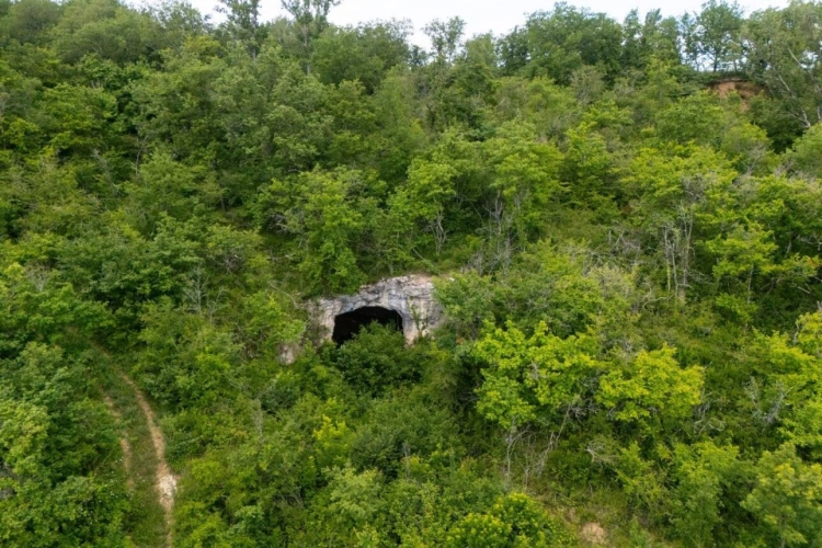 Photos 4 - Prestige - Propriété