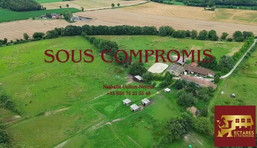 Photos 1 - Équestre - Propriété équestre 14 hectares