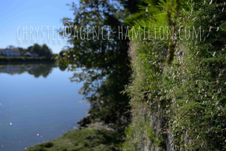 Photos 3 - Touristique - Maison