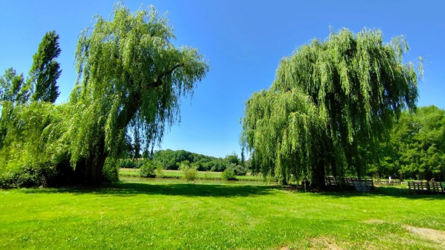 Photos 14 - Prestige - Moulin