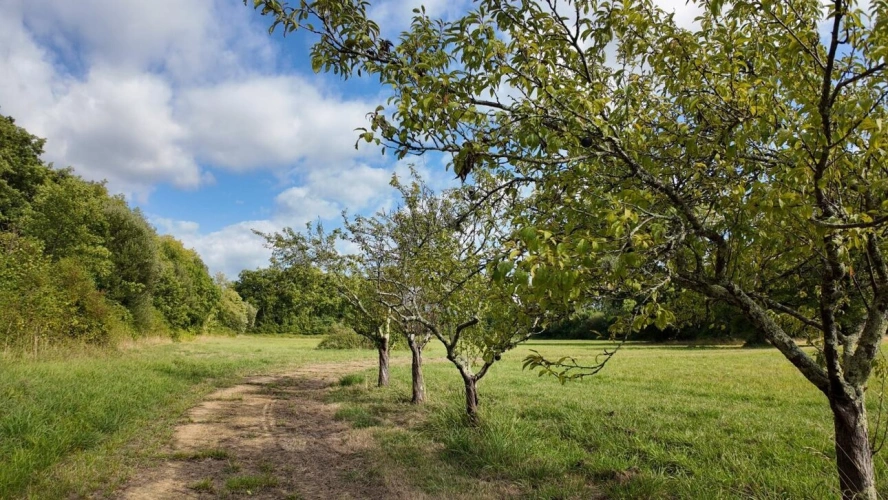 Photos 15 - Prestige - Moulin