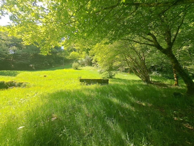 Photos 20 - Prestige - Moulin