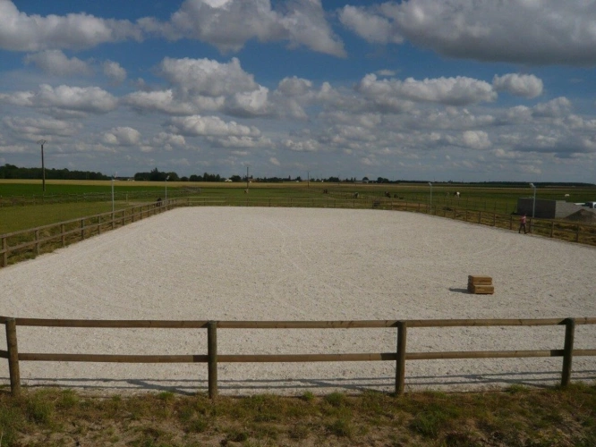 Photos 12 - Équestre - Propriété Équestre d'Exception - Aux Portes du Perche et