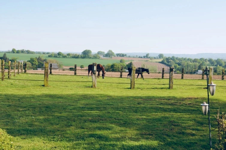 Photos 1 - Équestre - Propriété équestre à vendre – 7 pièces – 2,8 hectares – LANDELLES-ET-COUPIGNY (14), Calvados, Normandie
