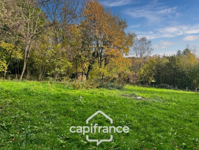 Photos 16 - Foncière - À vendre – Terrain de loisir 4 500 m² avec abris de jardin "chalet" aménagé – Lavernat (72, Sarthe)