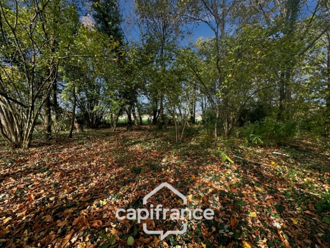 Photos 17 - Foncière - À vendre – Terrain de loisir 4 500 m² avec abris de jardin "chalet" aménagé – Lavernat (72, Sarthe)