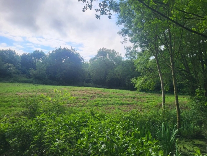 Photos 3 - Forestière - Terrain de Loisirs avec ETANG et bois à vendre  GLENAY (79) 4985 m²