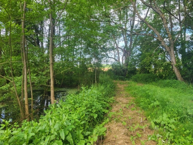 Photos 4 - Forestière - Terrain de Loisirs avec ETANG et bois à vendre  GLENAY (79) 4985 m²