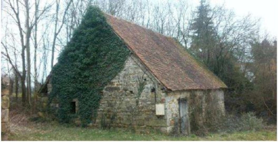 Photos 1 - Touristique - Dpt Orne (61), à vendre GRANGE de 90 m2 à rénover sur terrain de 1539 m2