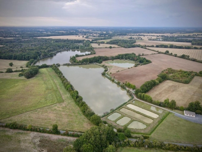 Photos 1 - Forestière - Opportunité d'affaires exceptionnelle : domaine de 24 hectares comprenant 15 hectares d'étangs, parfait pour divers projets touristiques et commerciaux. Avec une activité de location de tentes glampin