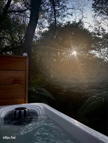 Photos 7 - Forestière - Opportunité d'affaires exceptionnelle : domaine de 24 hectares comprenant 15 hectares d'étangs, parfait pour divers projets touristiques et commerciaux. Avec une activité de location de tentes glampin