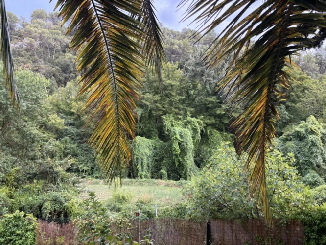 Photos 12 - Prestige - Maison