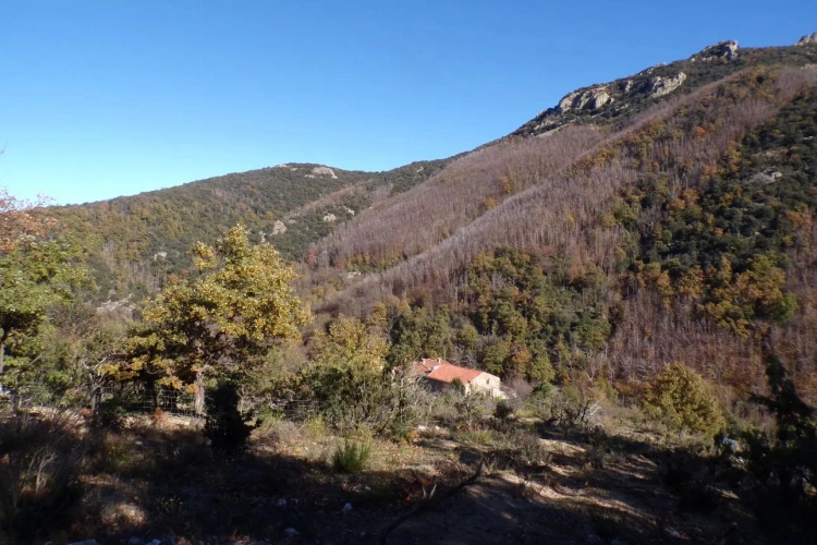 Photos 1 - Forestière - Typique Mas Catalan 105 ha sur le GR 20.