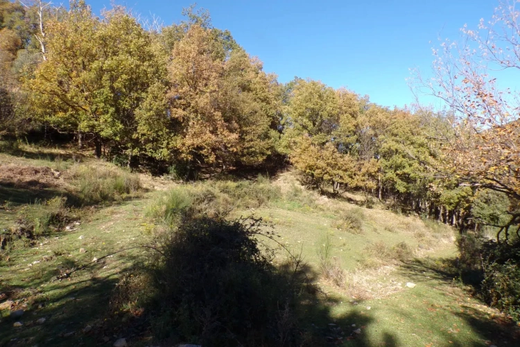 Photos 2 - Forestière - Typique Mas Catalan 105 ha sur le GR 20.