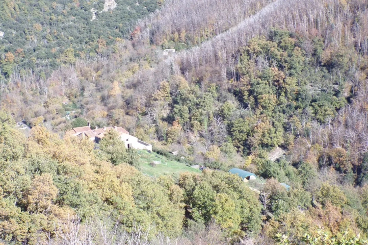 Photos 3 - Forestière - Typique Mas Catalan 105 ha sur le GR 20.