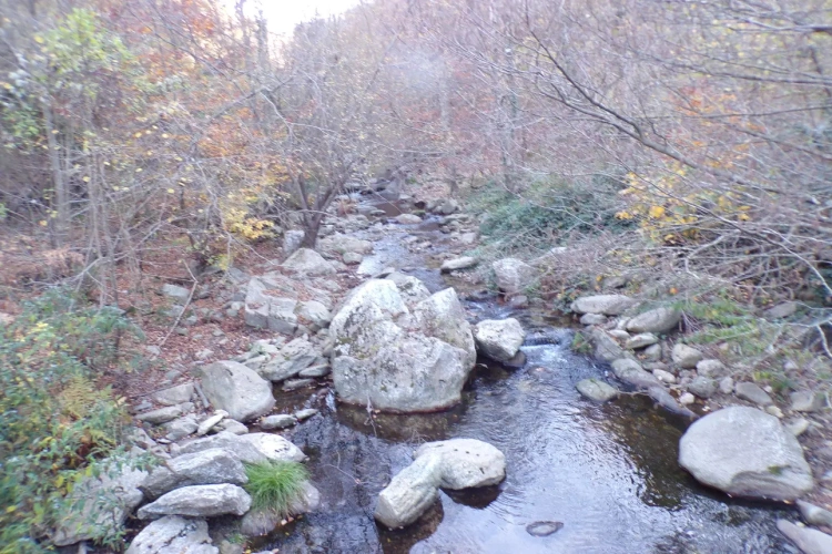 Photos 7 - Forestière - Typique Mas Catalan 105 ha sur le GR 20.