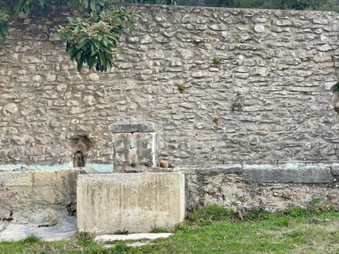 Photos 4 - Vineyard - Estate in the heart of LUBERON