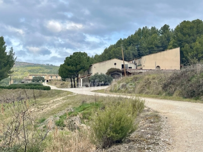 Photos 9 - Vineyard - Estate in the heart of LUBERON