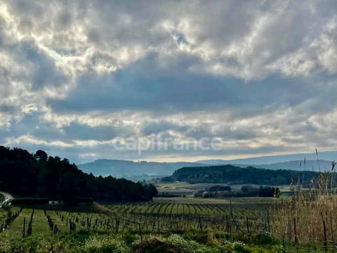 Photos 10 - Vineyard - Estate in the heart of LUBERON